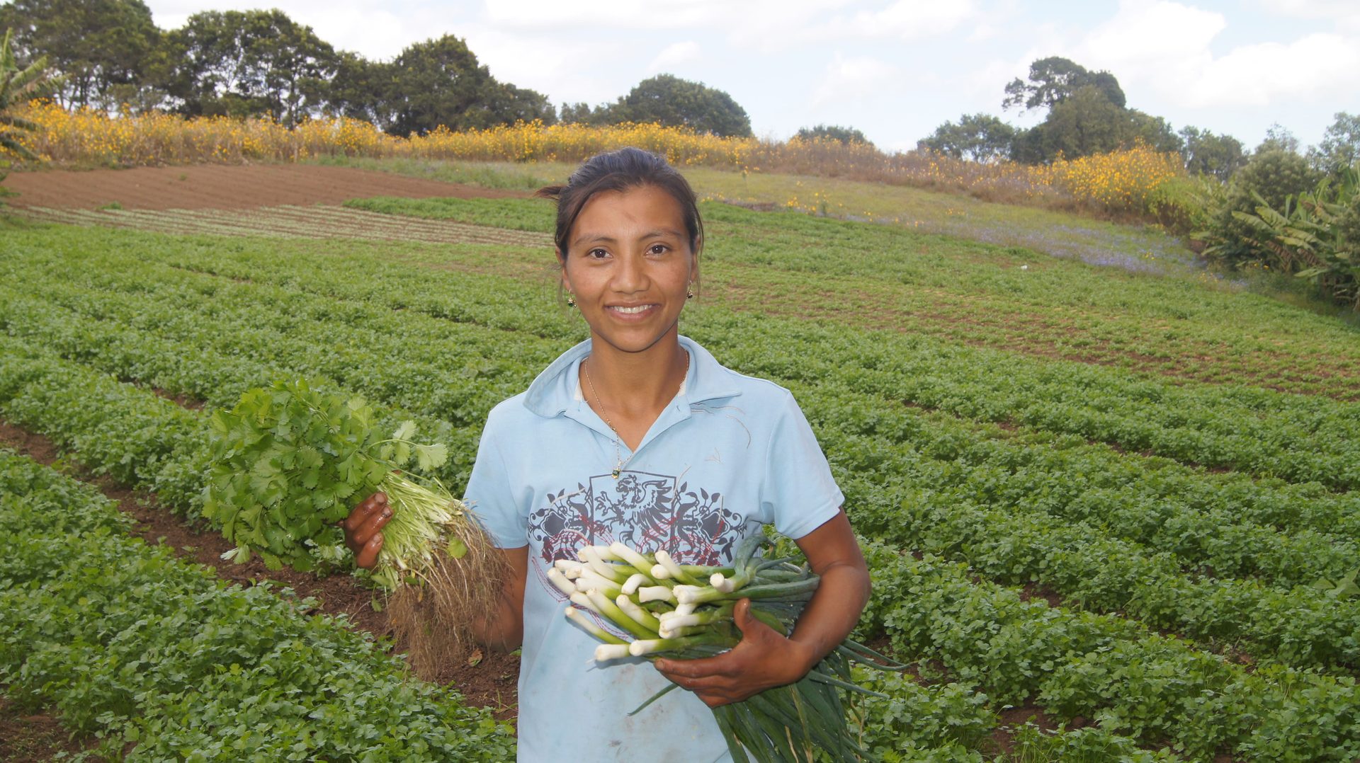 A grower holding freshly harvested produce in a field